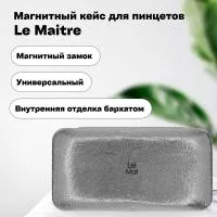 Магнитный кейс для пинцетов Le Maitre Brilliance Silver